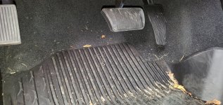 20191018_155354.jpg 20191018_155354.jpg