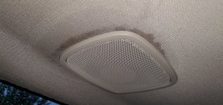 Left rear speaker wet.jpg