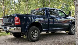 GatorBacks.jpg GatorBacks.jpg