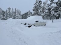 00BB0218-3855-4C40-AC1E-BD6879046C31.jpeg 00BB0218-3855-4C40-AC1E-BD6879046C31.jpeg