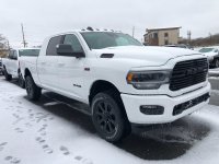 Great White Buffalo.jpg