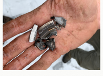 1614016826355.png 1614016826355.png