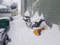 20210314_173820 (Large).jpg 20210314_173820 (Large).jpg