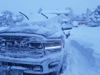 20210314_183402 (Large).jpg 20210314_183402 (Large).jpg