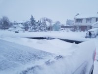 20210314_191021.jpg 20210314_191021.jpg