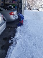 20210315_103605.jpg 20210315_103605.jpg