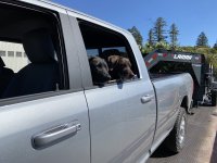 tempImage4Fv9yk.jpg tempImage4Fv9yk.jpg