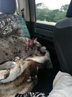 90DAEEC0-8303-45B1-8748-4171D25B8C53.jpeg 90DAEEC0-8303-45B1-8748-4171D25B8C53.jpeg