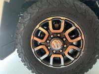 IMG_6430.jpeg IMG_6430.jpeg