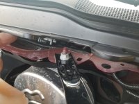 20210710_113313.jpg 20210710_113313.jpg