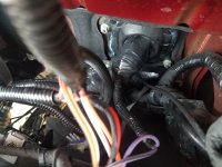 20210710_125447.jpg 20210710_125447.jpg