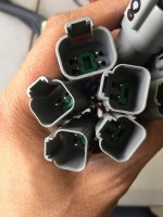 harness 2.jpg harness 2.jpg