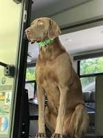 F39BF481-4DC9-4E8C-AF74-B96D6F92D365.jpeg F39BF481-4DC9-4E8C-AF74-B96D6F92D365.jpeg