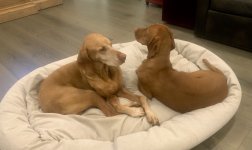 AA47C5FE-2748-4404-8391-5BC2587109E8.jpeg AA47C5FE-2748-4404-8391-5BC2587109E8.jpeg