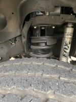 IMG_0877.jpeg IMG_0877.jpeg