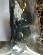 2 Rear Tag Screws.png