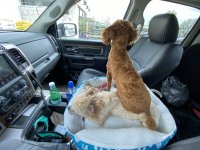 IMG_5527.JPG IMG_5527.JPG