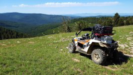 1-Cat LB hillside-001.jpg