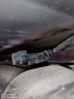 IMG_20220327_144407.jpg IMG_20220327_144407.jpg