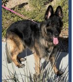 thumbnail_Screenshot 2022-01-30 at 10.58.53 AM.jpg