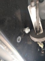 IMG_20220318_161607476.jpg IMG_20220318_161607476.jpg