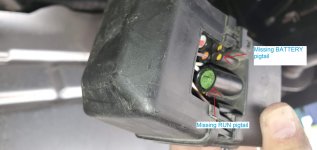 Missing pigtails.jpg Missing pigtails.jpg