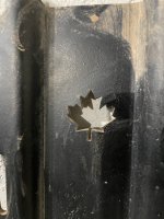 IMG-3755.jpg IMG-3755.jpg