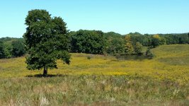 2022-10-02_12.45.08.jpeg 2022-10-02_12.45.08.jpeg