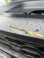 83C71F77-33D9-45AB-8F04-E7D274E74B52.jpeg 83C71F77-33D9-45AB-8F04-E7D274E74B52.jpeg