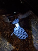 PXL_20221022_225705999.jpg PXL_20221022_225705999.jpg