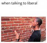 Talking To Brick Wall 05112022205611.jpg