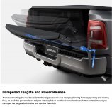 Image 12-14-22 at 11.07 AM.jpg