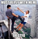 MEME REPLY OR GTFO.jpg