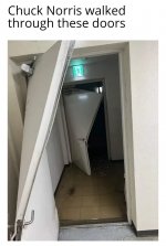 Chuck Norris .jpg