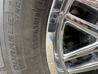 04BF33A1-2656-4F8E-A274-0FE7420C68B4.jpeg 04BF33A1-2656-4F8E-A274-0FE7420C68B4.jpeg