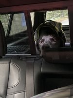 34EC8900-5E78-463C-AD76-810787A4194D.jpeg 34EC8900-5E78-463C-AD76-810787A4194D.jpeg