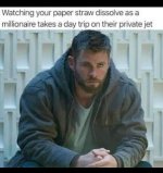 paper straw.JPG