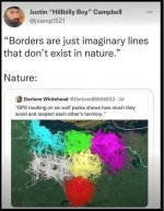 wolf borders.jpg