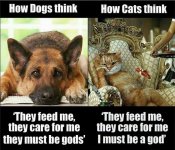 cats are gods fb.jpg
