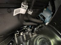 IMG_0732.JPG IMG_0732.JPG