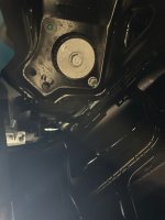 IMG_0736.JPG IMG_0736.JPG