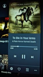 Pale horse die in arms.jpg