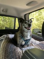 IMG_3497.jpeg IMG_3497.jpeg