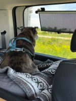 IMG_3286.JPG IMG_3286.JPG