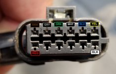 20200818_162013 (2).jpg