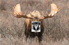 20200902_053315.jpg 20200902_053315.jpg