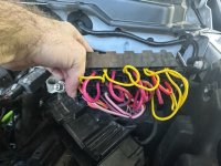 IMG_0423.jpg IMG_0423.jpg