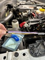 IMG_0436 (1).jpg IMG_0436 (1).jpg