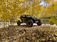 IMG_5491.jpeg IMG_5491.jpeg