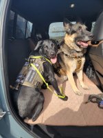 20230206_110240.jpg 20230206_110240.jpg